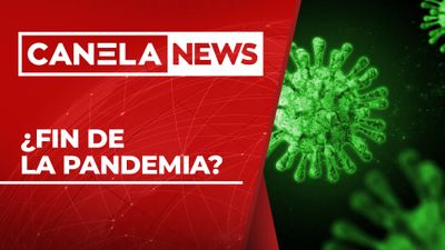 ¿Fin De La Pandemia?