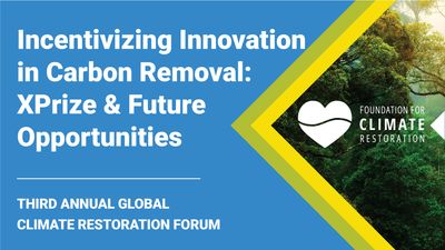 E7 - Incentivizing Innovation in Carbon Removal