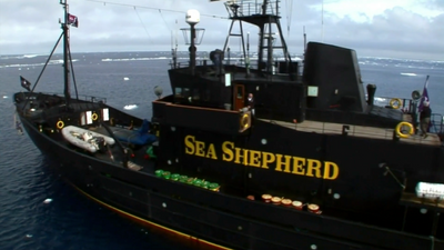 E1 - The Sea Shepherd