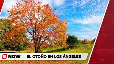 El otoño ya se hace sentir en Los Ángeles