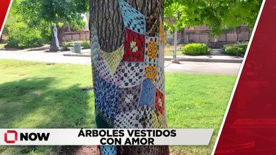 Adultos mayores visten árboles con amor en su comunidad