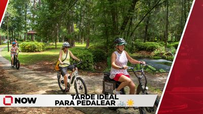 Día perfecto para andar en bici