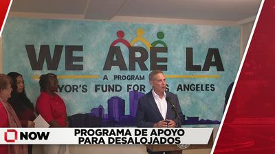 "We Are LA": Asistencia para Inquilinos Desalojados