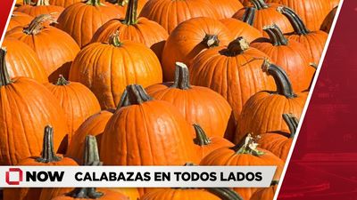 Calabazas toman los supermercados