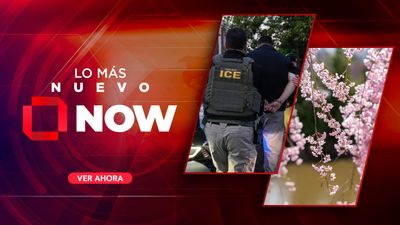 Escalada en Medio Oriente, primavera en D.C. y tensión migratoria en California