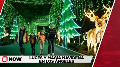 Luces y magia navideña en Los Ángeles