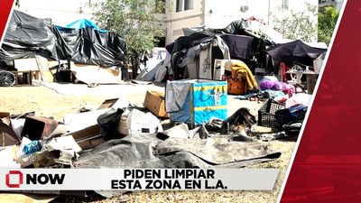 Piden limpiar esta zona en LA
