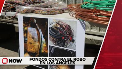 Fondos contra el robo en Los Ángeles