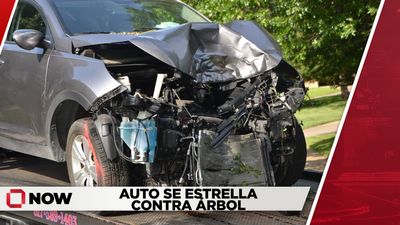 Auto se Estrella contra Árbol; Tres Heridos