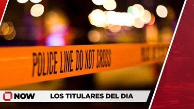 Jinete muere trágicamente tras ser arrollada