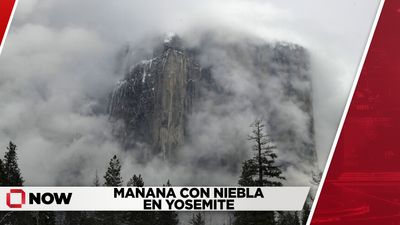 Mañana con niebla en Yosemite