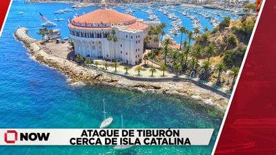 Ataque de tiburón cerca de Isla Catalina