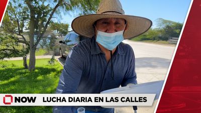 Vendedor ambulante enfrenta redadas y miedo a la migra