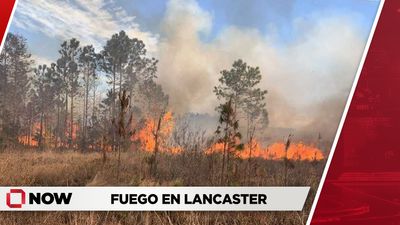 Incendio de vegetación en Lancaster