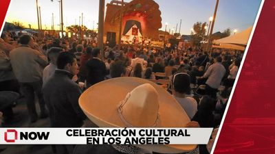 Mariachis Enamoran en La Placita Olvera