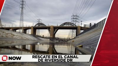 Rescate en el canal de Riverside Dr