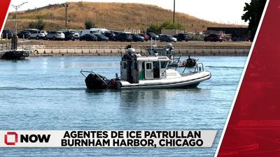 Agentes de ICE patrullan Burnham Harbor, Chicago