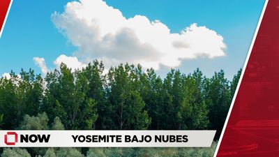 Día fresco y nublado en Yosemite con 71 °F de temperatura