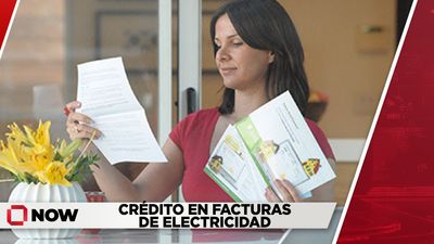 Crédito eléctrico, seguridad en ICE y alerta de estafas