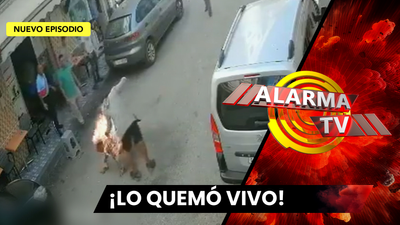 Alarma TV | Diciembre 17, 2025