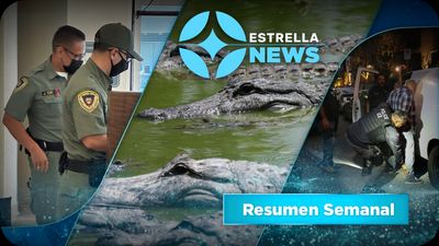 La Actualidad Semanal - Recluyen en Alligator Alcatraz a Beneficiario de DACA por Conducir Sin Licencia