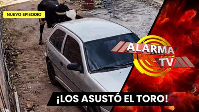 Toro Aterró a Una Madre y sus Dos Hijos.