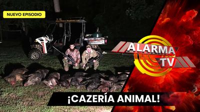 Alarma TV | Septiembre  10, 2025