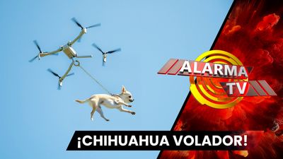 ¡El Chihuahua Torturado con un Drone..!