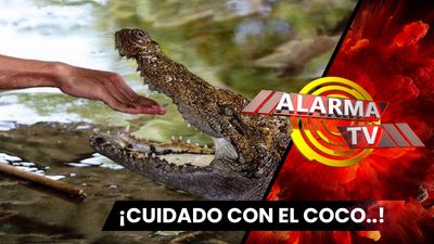 ¡Un Encuentro Cercano con Croc..!