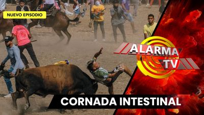 ¡Destripado por el Toro en Plena Jornada Taurina!