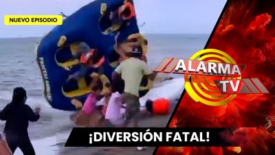 Paseo en la Playa Termina de Forma Inesperada.