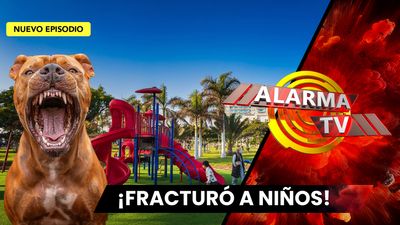 Pitbull Atacó Ferozmente a Niños en Parque Infantil. 