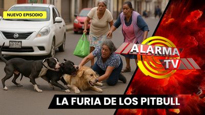Mujer enfrenta a dos pitbulls para salvar a su mascota.