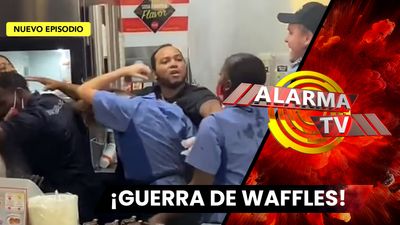 ¡Una Pelea Muy Caliente con Puro Waffles...!