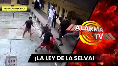 Lo Acuchillaron en Pleno Patio de la Prisión. 