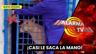 Casi Muerde la Mano que le dió de Comer.