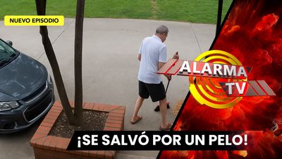 ¡Milagro en la banqueta!