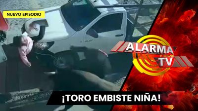 Toro embiste a Madre y Niña.