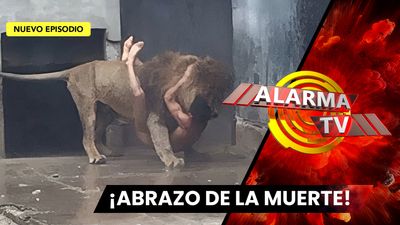 Se Metió a la Jaula de los Leones