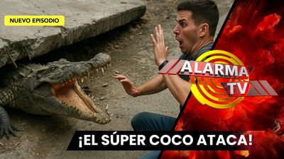 ¡Dos Cocodrilos Escondidos Bajo el Cemento de una Casa!