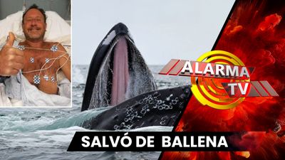 ¡Tragado y Vomitado por la Ballena..!