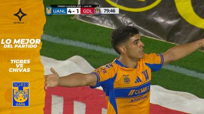 ¡Tigres  VS Chivas! Lo Mejor del Partido