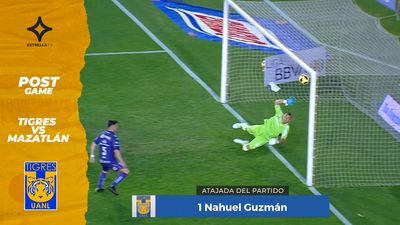 ¡Tigres  VS  Mazatlan! Lo Mejor del Partido