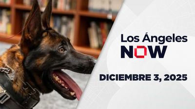 Los Ángeles NOW | Diciembre 03, 2025