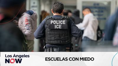 Estudio revela impacto emocional en estudiantes por clima migratorio en Los Ángeles