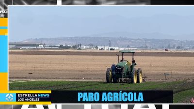 Noticiero Los Ángeles | Julio 16, 2025