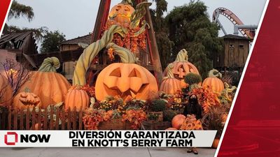 Diversión garantizada en Knott’s Berry Farm