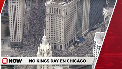 No Kings Day en Chicago