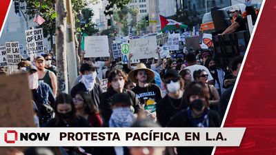 Protesta Pacífica en L.A. 