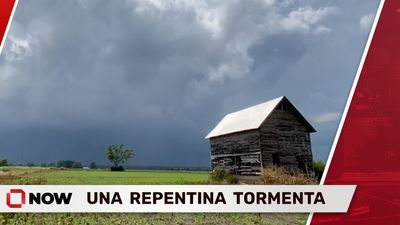 Tormenta Severa Llega al Este de Cape